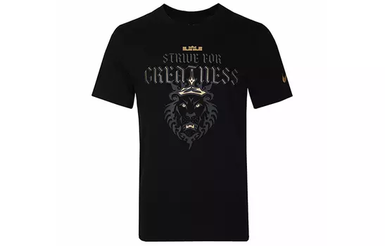 Мужская футболка Nike, цвет Black