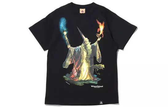 Мужская футболка Nike, цвет Black