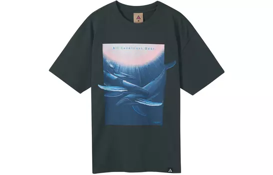 Мужская футболка Nike, цвет Black/Gray