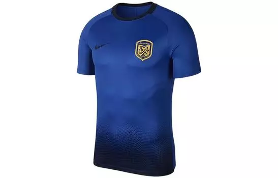 Мужская футболка Nike, цвет Blue