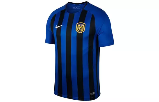 Мужская футболка Nike, цвет Blue