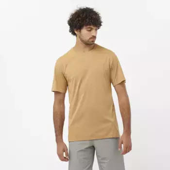 Мужская футболка Outline Salomon, коричневый