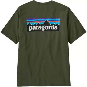 Мужская футболка P-6 с логотипом Responsibili Patagonia, зеленый