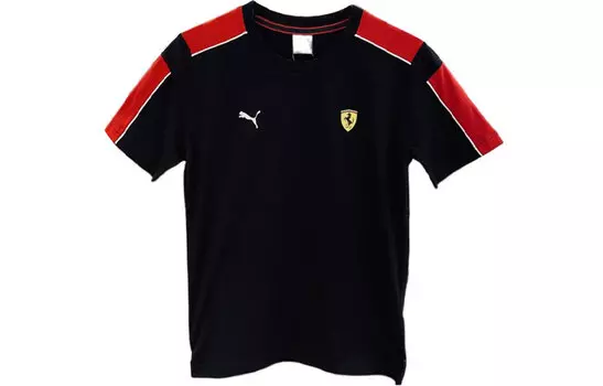 Мужская футболка Puma, цвет Black