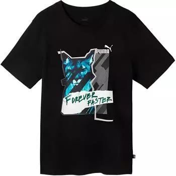 Мужская футболка Puma, цвет Black