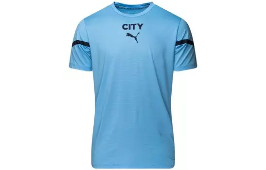 Мужская футболка Puma, цвет Blue
