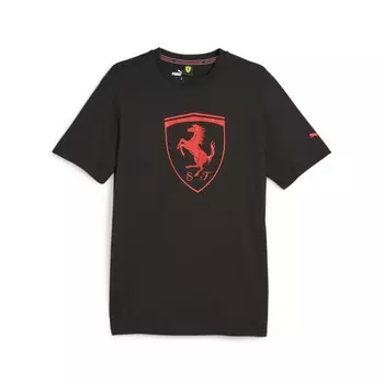Мужская футболка Puma, разноцветный