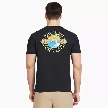 Мужская футболка Quiksilver с рисунком на спине, цвет Black Beach