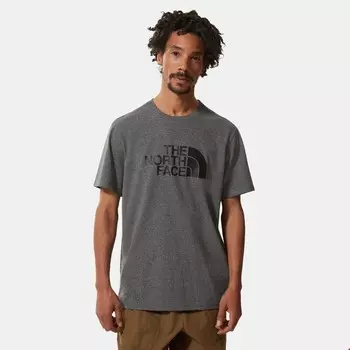 Мужская футболка р/с легкая The North Face, серый