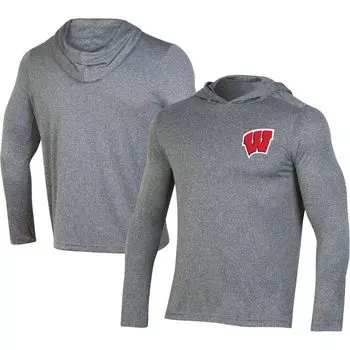 Мужская футболка с длинным рукавом и худи Champion Grey Wisconsin Badgers