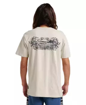 Мужская футболка с коротким рукавом Backyard Quiksilver, серебряный