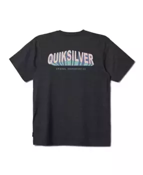 Мужская футболка с коротким рукавом Blocked Quiksilver, серый