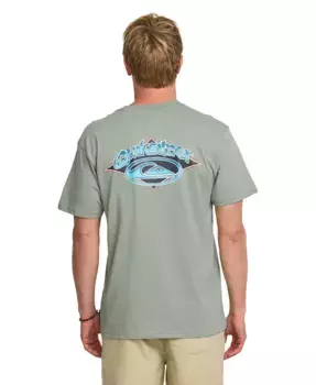 Мужская футболка с коротким рукавом Brushwork Quiksilver, зеленый