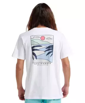 Мужская футболка с коротким рукавом Cruising Quiksilver, белый