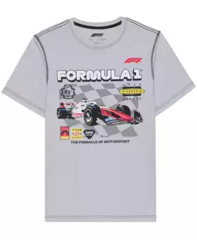 Мужская футболка с коротким рукавом Formula 1 Hybrid Apparel, серый
