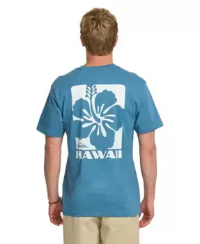 Мужская футболка с коротким рукавом Hawaii Hibiscus Quiksilver, оранжевый
