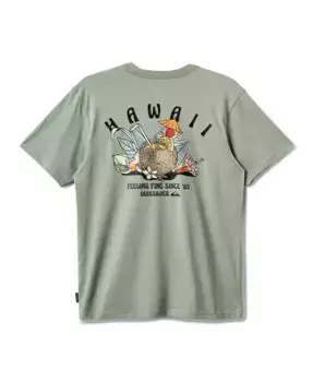 Мужская футболка с коротким рукавом Hawaii Spirits Quiksilver, зеленый