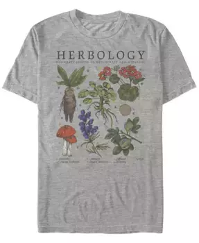 Мужская футболка с коротким рукавом Herbology Fifth Sun, серый