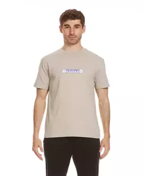 Мужская футболка с коротким рукавом Hi Bumper Sticker Quiksilver, зеленый
