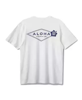 Мужская футболка с коротким рукавом Hi Classic Aloha Quiksilver, белый