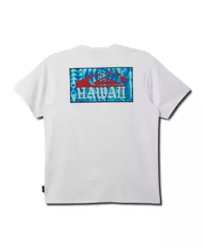 Мужская футболка с коротким рукавом Hi Island Print Quiksilver, белый