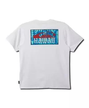 Мужская футболка с коротким рукавом и принтом Hi Island Quiksilver, белый