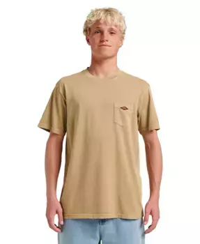 Мужская футболка с коротким рукавом Saltwater Quiksilver, коричневый/бежевый
