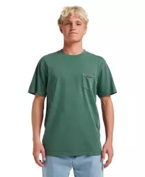 Мужская футболка с коротким рукавом Saltwater Quiksilver, зеленый