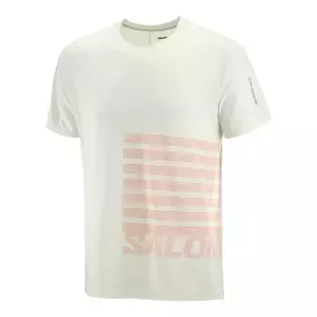 Мужская футболка с коротким рукавом SENSE AERO GRAPHIC Salomon, зеленый