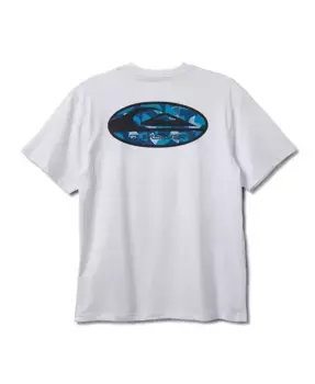 Мужская футболка с коротким рукавом Stretch Link Quiksilver, белый