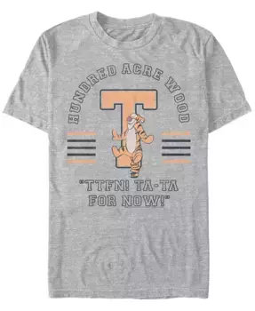 Мужская футболка с коротким рукавом Tigger Collegiate Fifth Sun, серый