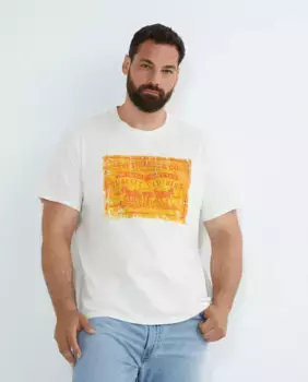 Мужская футболка с короткими рукавами, большие размеры Levi's, белый