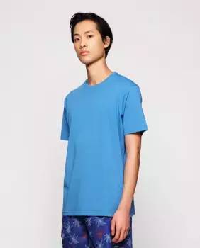 Мужская футболка с короткими рукавами из органического хлопка Mirto, голубой