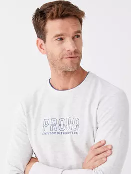 Мужская футболка с круглым вырезом и длинным рукавом с принтом LCWAIKIKI Classic, цвет камня меланж