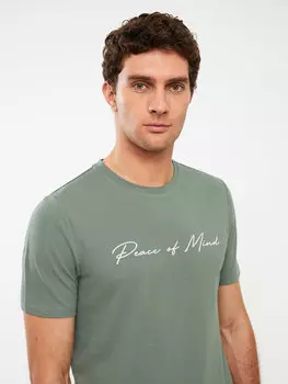 Мужская футболка с круглым вырезом и коротким рукавом с принтом LCWAIKIKI Classic, сизый