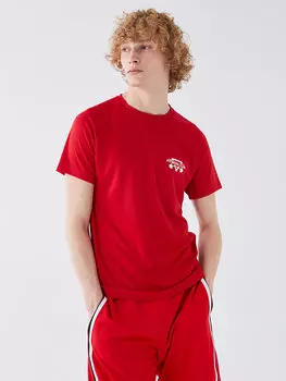 Мужская футболка с круглым вырезом и коротким рукавом с принтом LCW ECO