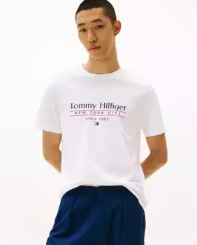 Мужская футболка с напечатанным брендингом Tommy Hilfiger, белый