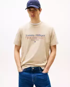 Мужская футболка с напечатанным брендингом Tommy Hilfiger, цвет Camel