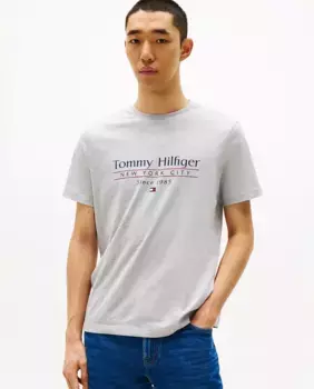 Мужская футболка с напечатанным брендингом Tommy Hilfiger, серый