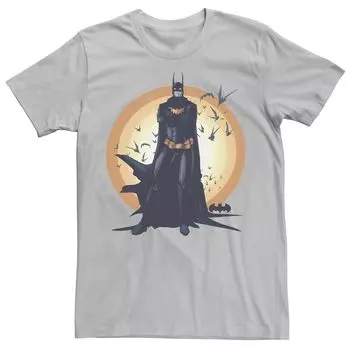 Мужская футболка с портретом DC Fandome Женщина-кошка-кошка-грабитель Licensed Character