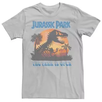 Мужская футболка с портретом «Парк Юрского периода T-Rex Sunset» Licensed Character, серебристый