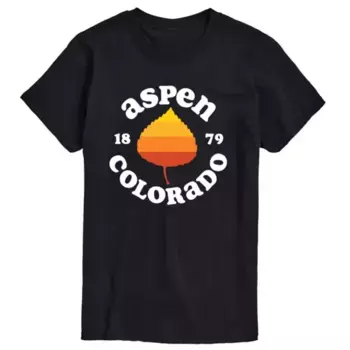 Мужская футболка с принтом Aspen Colorado Licensed Character, черный