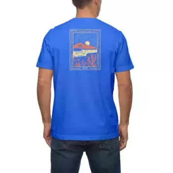 Мужская футболка с принтом baja Reef, цвет vivid blue