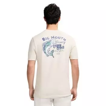 Мужская футболка с принтом Saltwater Soft Wash Izod, цвет big mouth brewery