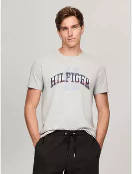 Мужская футболка с принтом Tommy Hilfiger Hilfiger, цвет grey heather