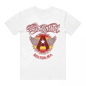 Мужская футболка с рисунком Aerosmith Licensed Character