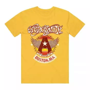 Мужская футболка с рисунком Aerosmith Licensed Character