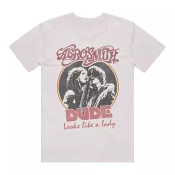 Мужская футболка с рисунком Aerosmith Licensed Character