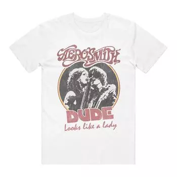 Мужская футболка с рисунком Aerosmith Licensed Character