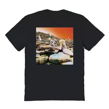 Мужская футболка с рисунком Led Zeppelin Holy Colors Licensed Character, черный